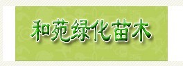 山东省惠民县和苑绿化苗木销售有限公司