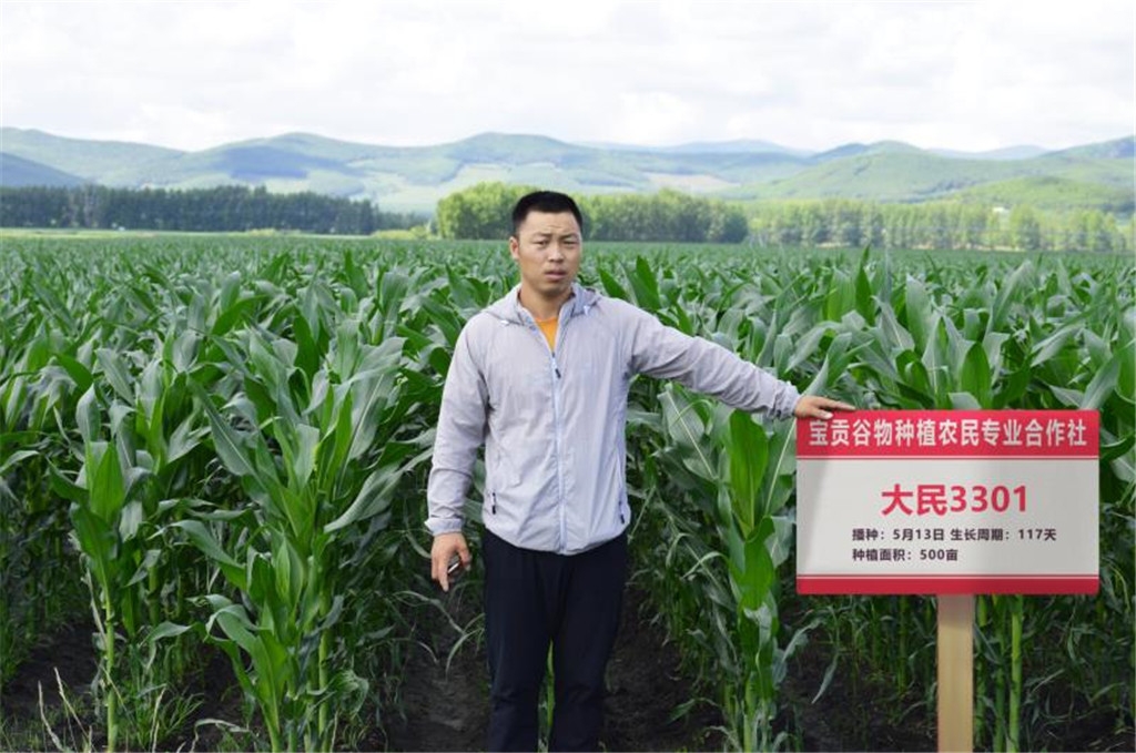 宝清县宝贡谷物种植农民专业合作社