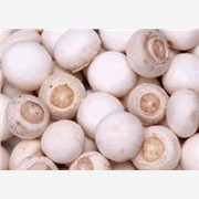 蘑菇增白剂