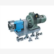 专业生产滨海制泵生产|转子泵系列