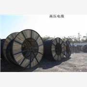朝陽(yáng)區(qū)高壓鎧裝電纜廠家|大興區(qū)高