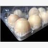 供应鸡蛋托盘-吸塑包装制品-供应
