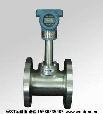 华世通新疆氧气流量计图1