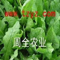 春播牧草种子种植计划 春播牧草品种图1