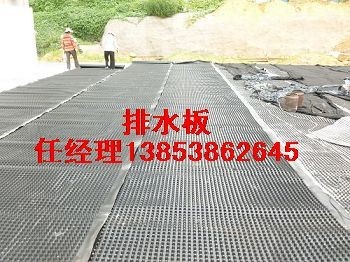 安徽屋顶车库绿化专用排水板