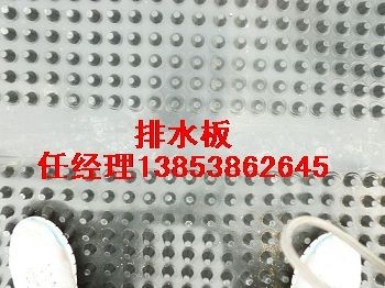 河南屋顶花园绿化专用排水板销售图1