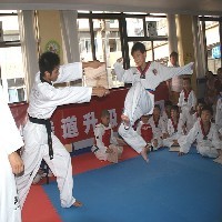 专注儿童跆拳道教育，让孩子赢在培训线上