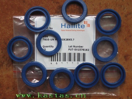 HALLITE-H605-461