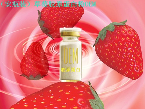 果味胶原蛋白粉加工