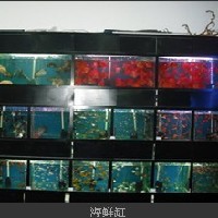 苏州鱼缸图1