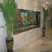 大型鱼缸，水族箱设计制作，推荐水之恋