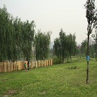 园林绿化