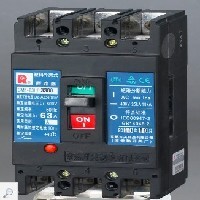 CM1-63L/3310塑殼斷路器