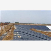 河南供應建筑防滲防水土工膜|2.