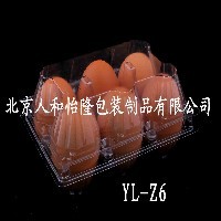 供应中号6枚PVC透明塑料鸡蛋盒