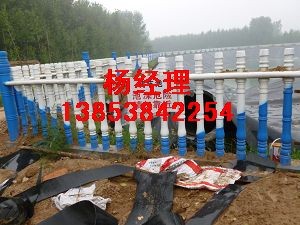 晋城人工池塘防渗膜～淄博景观湖防