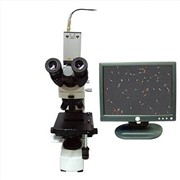 武汉武汉智达供应显微镜成像设备，