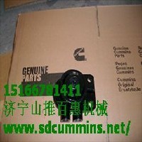 康明斯B3.3图1
