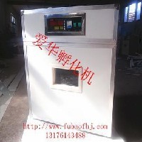 528枚小型孵化机图1