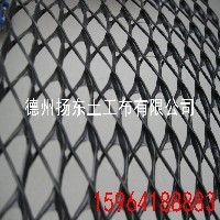 三维排水网