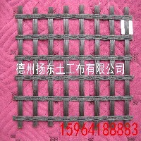 双肋排水网