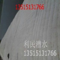 臨清模袋混凝土護(hù)坡13515131766模袋護(hù)坡公司