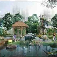 景观树 绿化花草 盆景 石材 喷泉甘肃大自然景观绿化工程