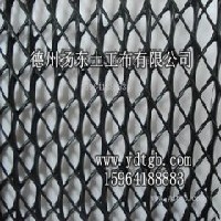 抗老化铁路专用三维排水网扬东土工布