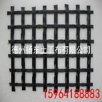塑料高速公路專用雙向土工格柵揚東土工布