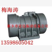 白山TZD71-8C/ZDS-2-2/ZDJ振动电机图1