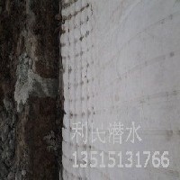 六安13515131766模袋混凝土护坡公司提供模袋销售图1