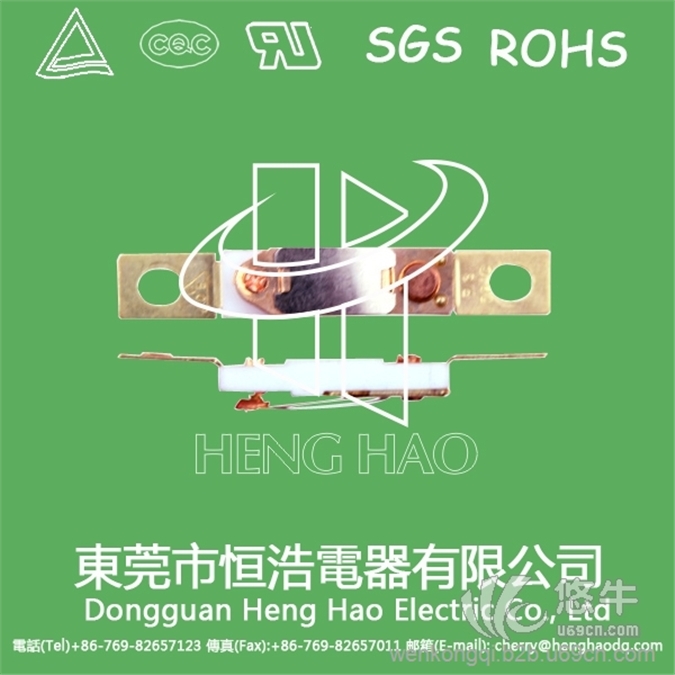 RS03温控开关，RS03温度保护器图1