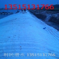 大连市模袋混凝土护坡-模袋护坡模袋护坡13515131766