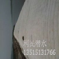 永川模袋混凝土施工13515131766模袋布厂家销售