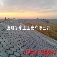 生态袋
