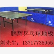乒乓球地板 乒乓球场地地板 乒乓球专用塑胶地板图1