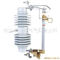 RW5 35/200A跌落熔断器厂家图1