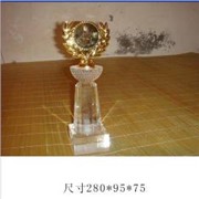 广州水晶表彰大会奖杯,太平洋电脑网奖杯,基金奖杯