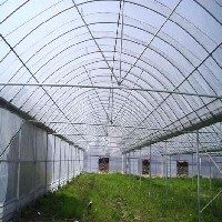 蔬菜日光温室建设