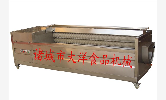 諸城蛤蜊清洗機(jī)，扇貝清洗機(jī)
