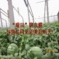 西瓜专用膜