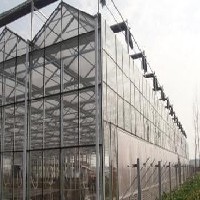 山东玻璃温室大棚建设图1