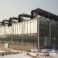 智能阳光温室大棚