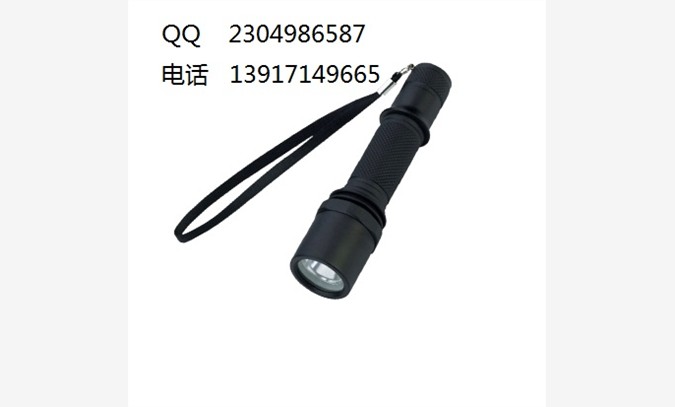 JW7300微型防爆电筒 LED图1