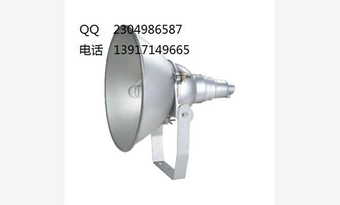 TG705强光投光灯 TG706图1