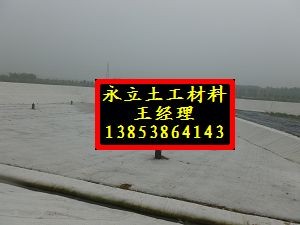 HDPE防渗土工膜图1