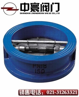 蝶式止回閥-中寰打造放心產(chǎn)品