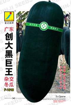 广东创大黑巨王冬瓜种子F-161图1
