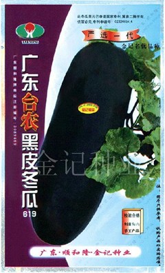广东台农黑皮冬瓜种子619