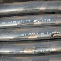 A213T11